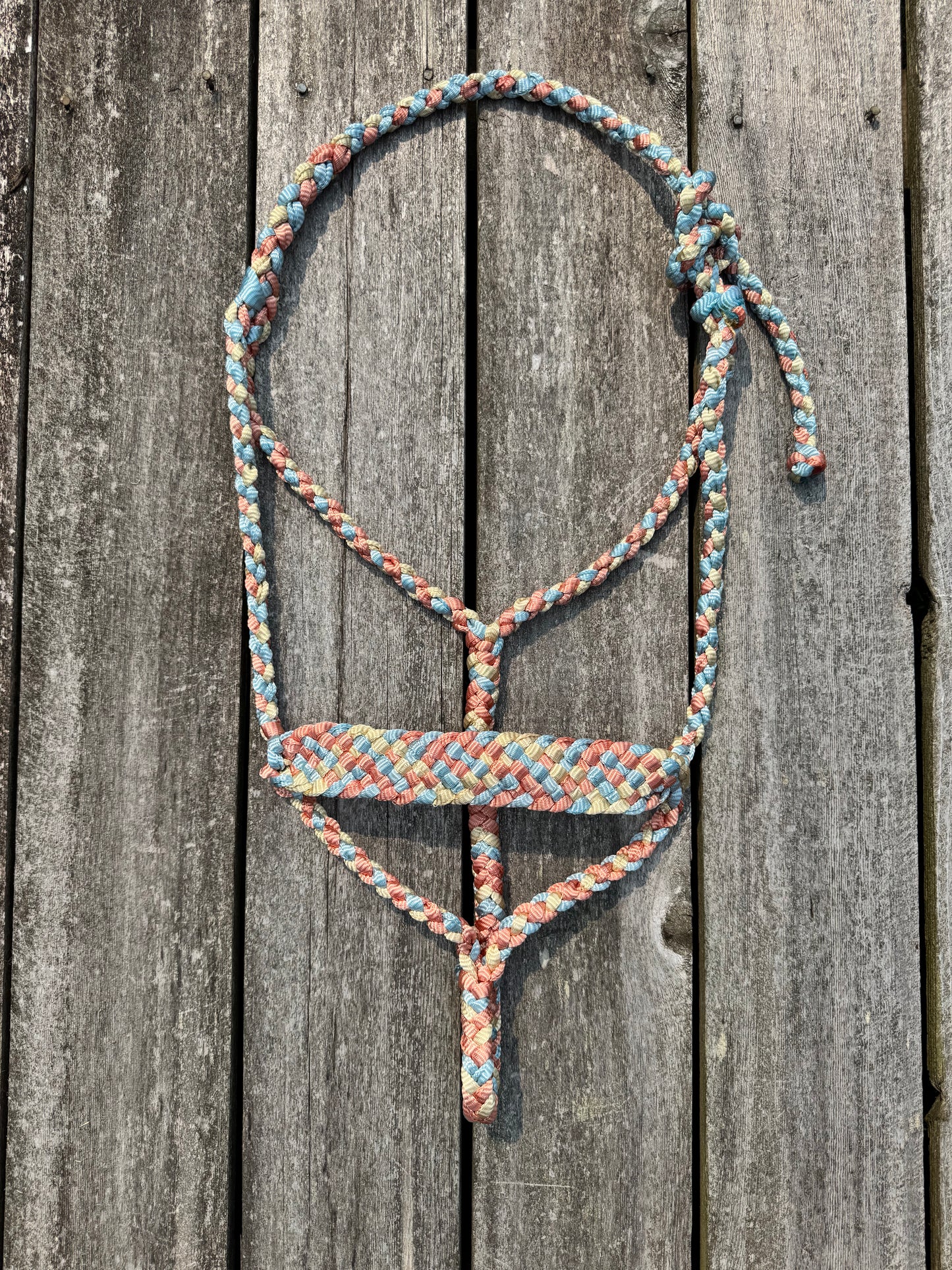 Coral Sands Mule Tape Halter