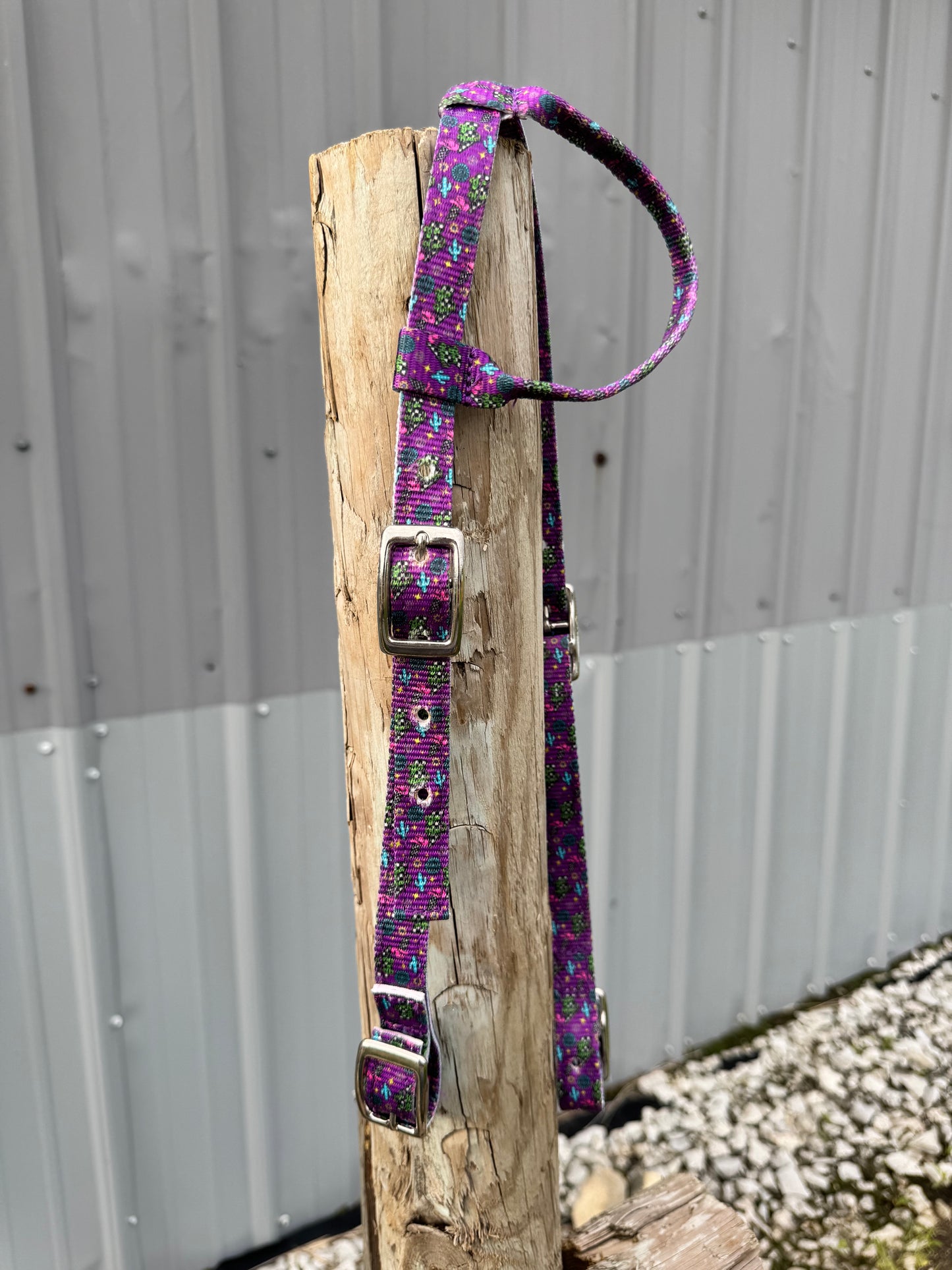Schulz Equine Nylon One Ear Headstall - Neon YeeHaw