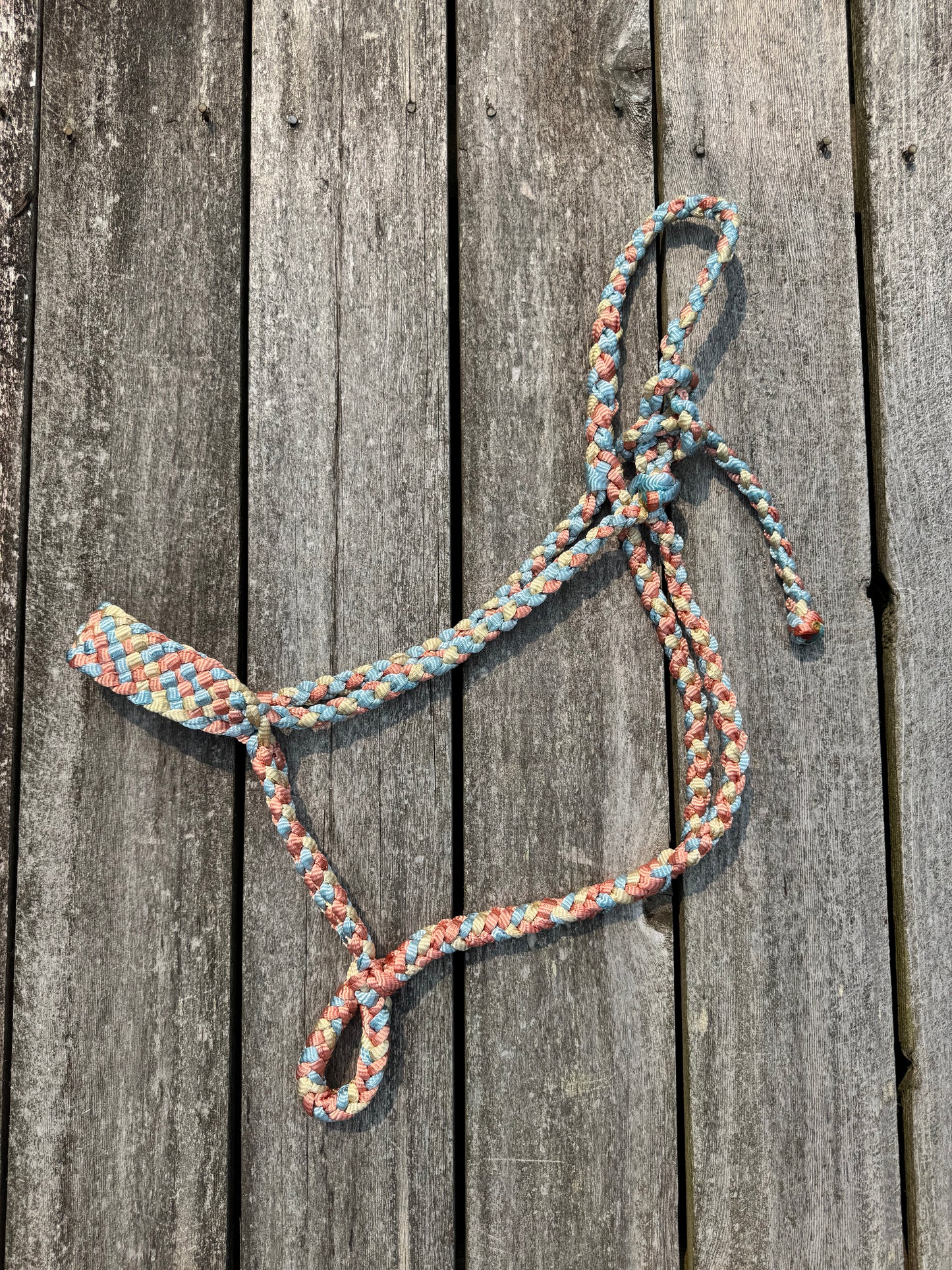 Coral Sands Mule Tape Halter