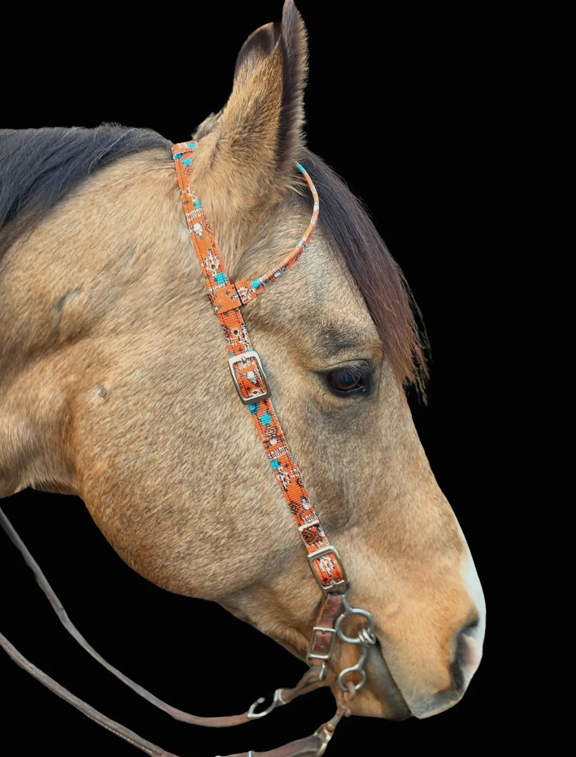 Schulz Equine Nylon One Ear Headstall - Howdy