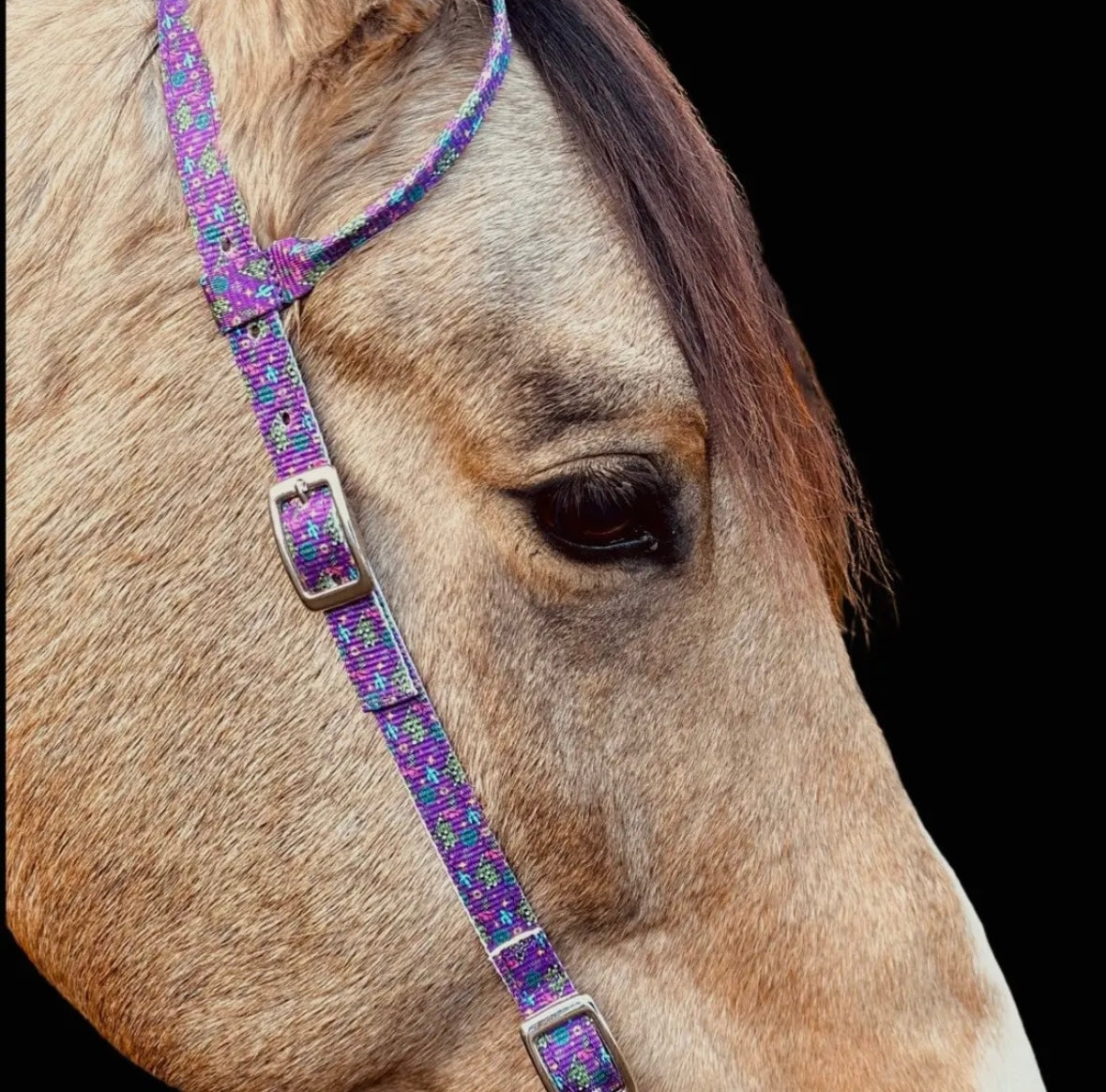 Schulz Equine Nylon One Ear Headstall - Neon YeeHaw
