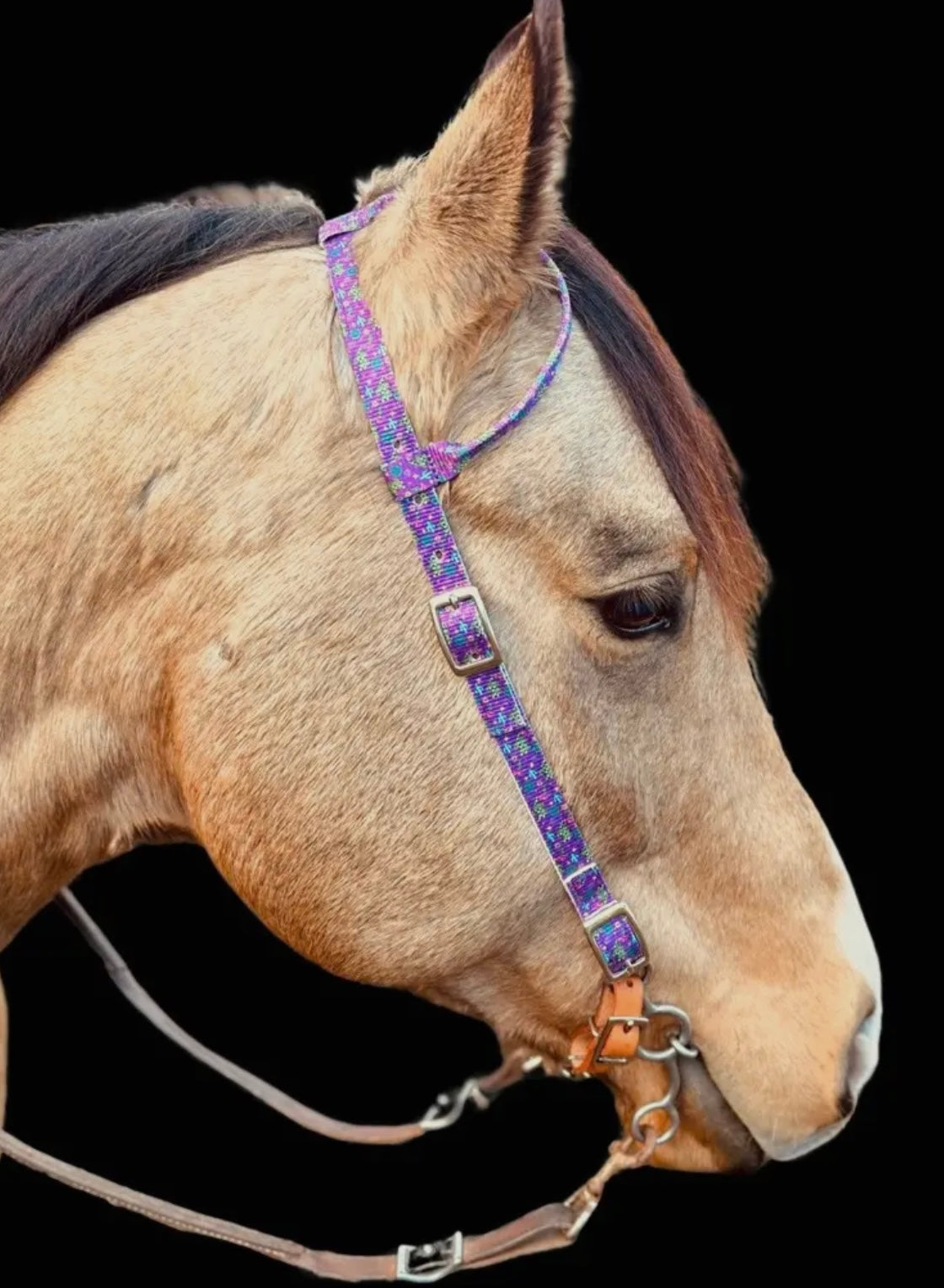 Schulz Equine Nylon One Ear Headstall - Neon YeeHaw