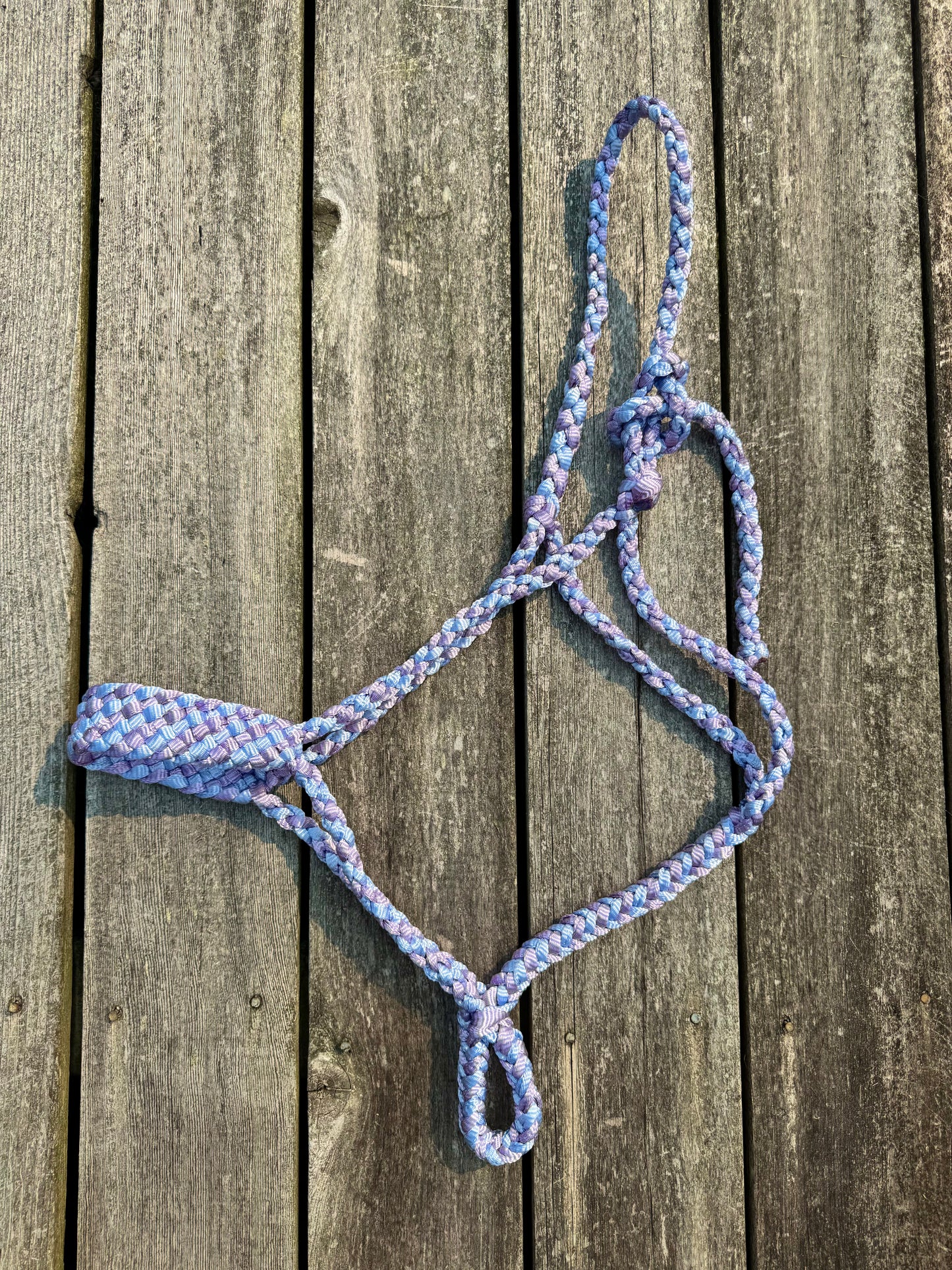 Lilac Skies Mule Tape Halter