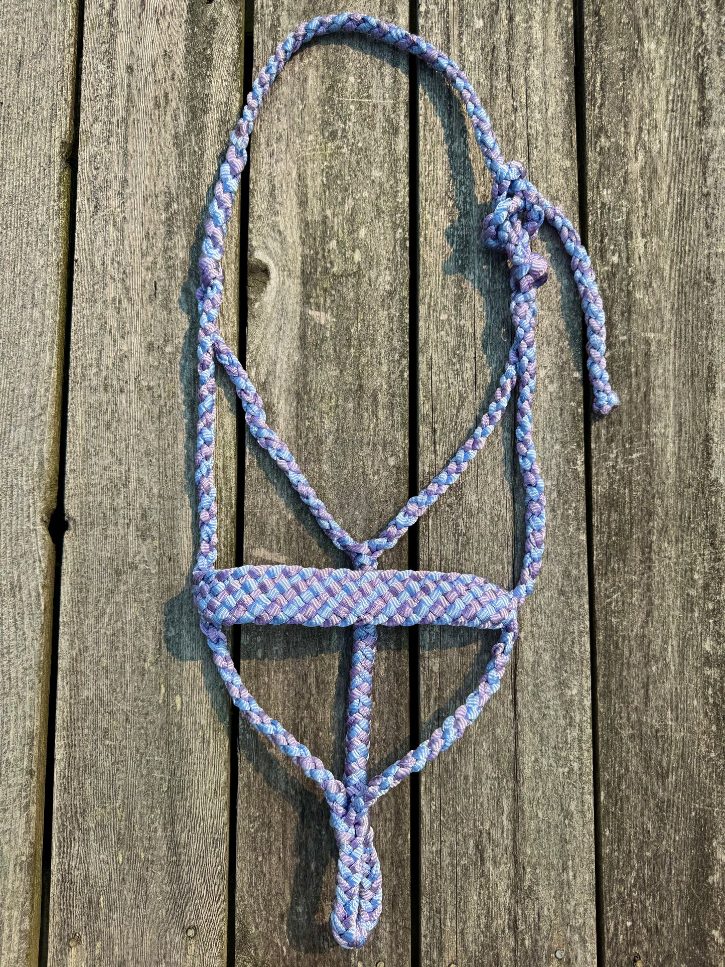 Lilac Skies Mule Tape Halter