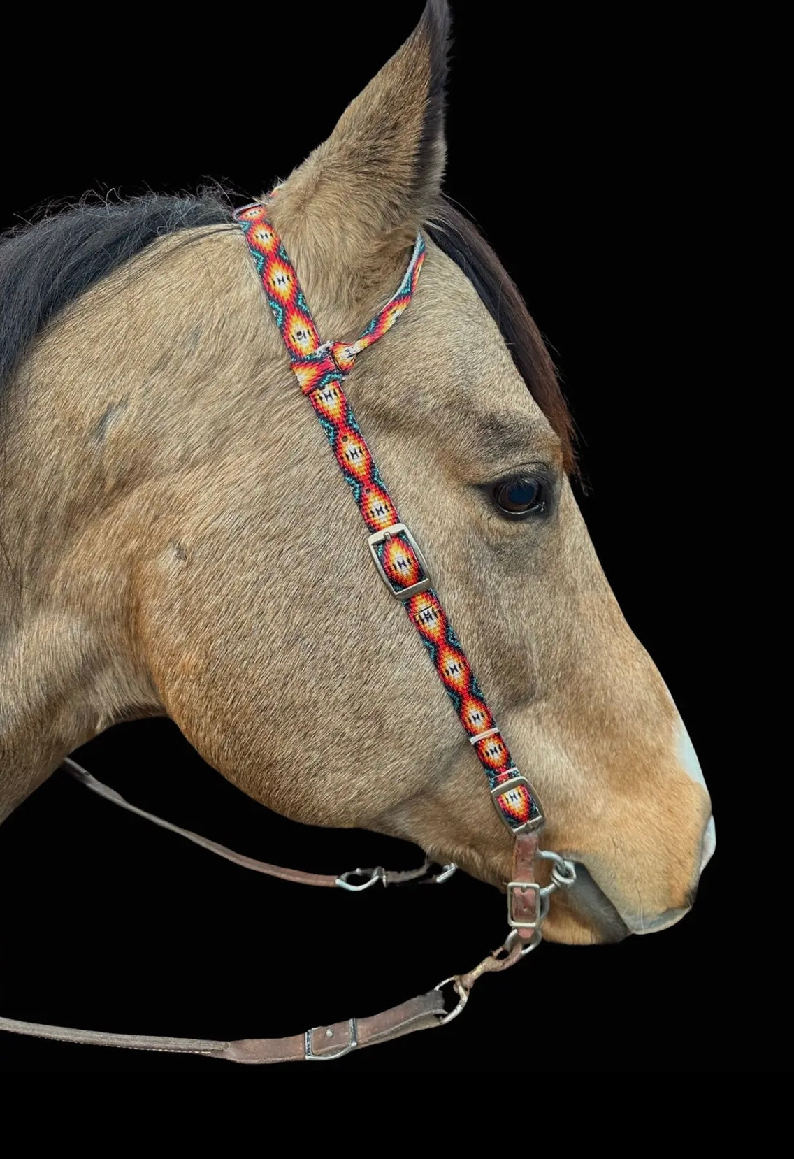 Schulz Equine Nylon One Ear Headstall - Sunset Aztec
