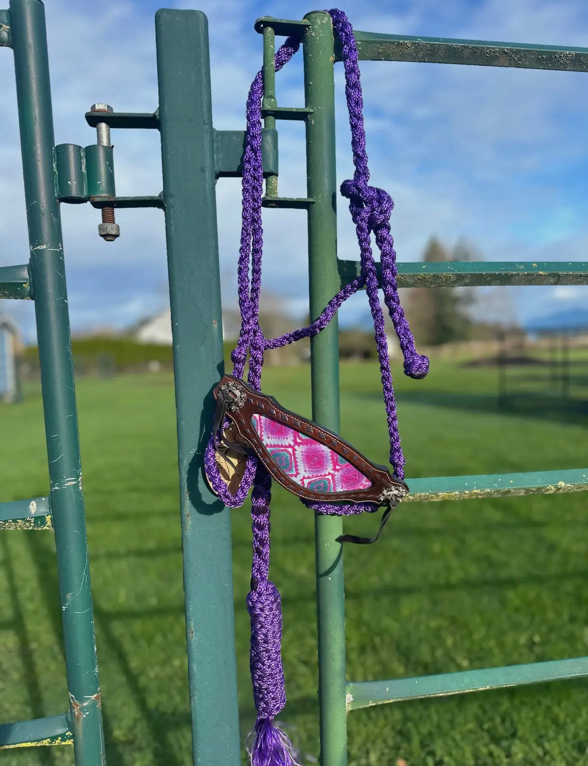 Schulz Equine Bronc Rope Halter - Rio