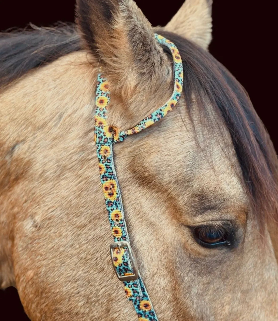 Schulz Equine Nylon One Ear Headstall - Wild Sunflower