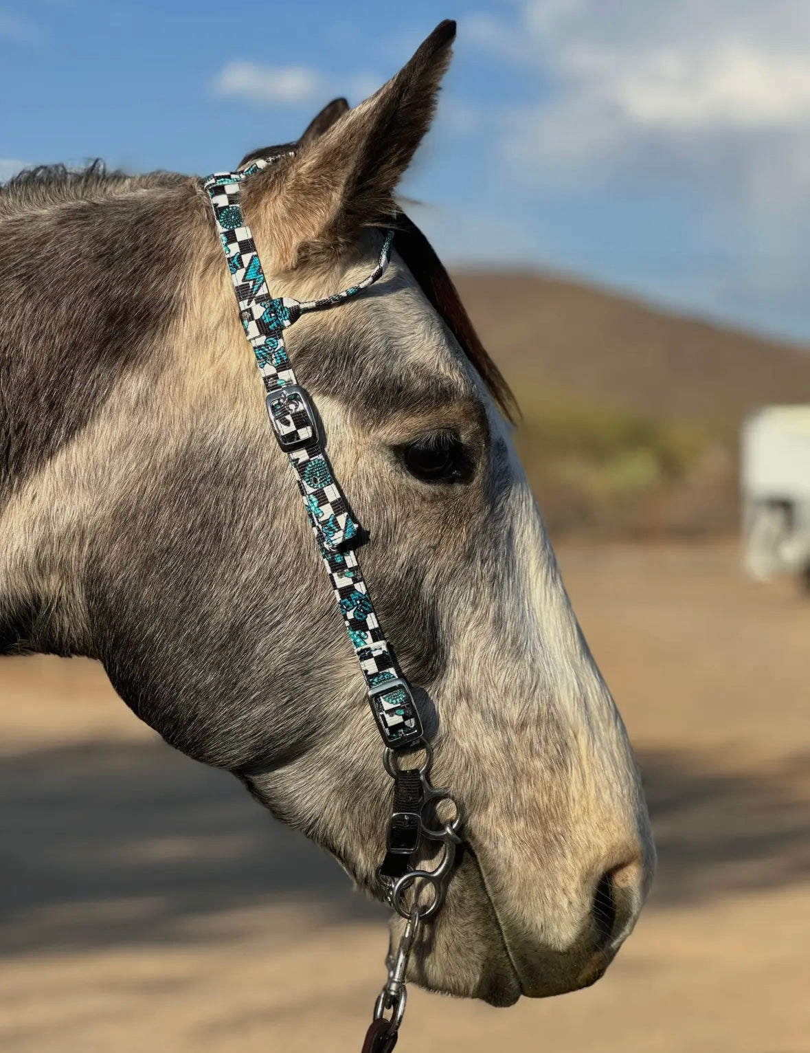Schulz Equine Nylon One Ear Headstall - Turquoise Glass