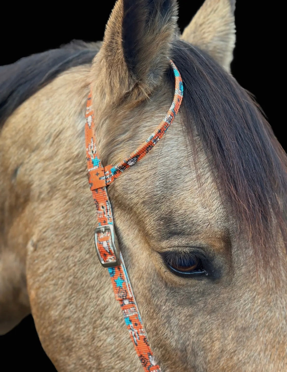 Schulz Equine Nylon One Ear Headstall - Howdy
